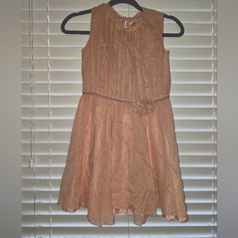Crewcuts Rose Silk Dress Girls Size 10